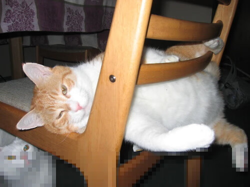 开云体育APP下载-英超争冠焦点战启示录，从克罗地亚轻取比利亚雷亚尔看战术与意志的较量