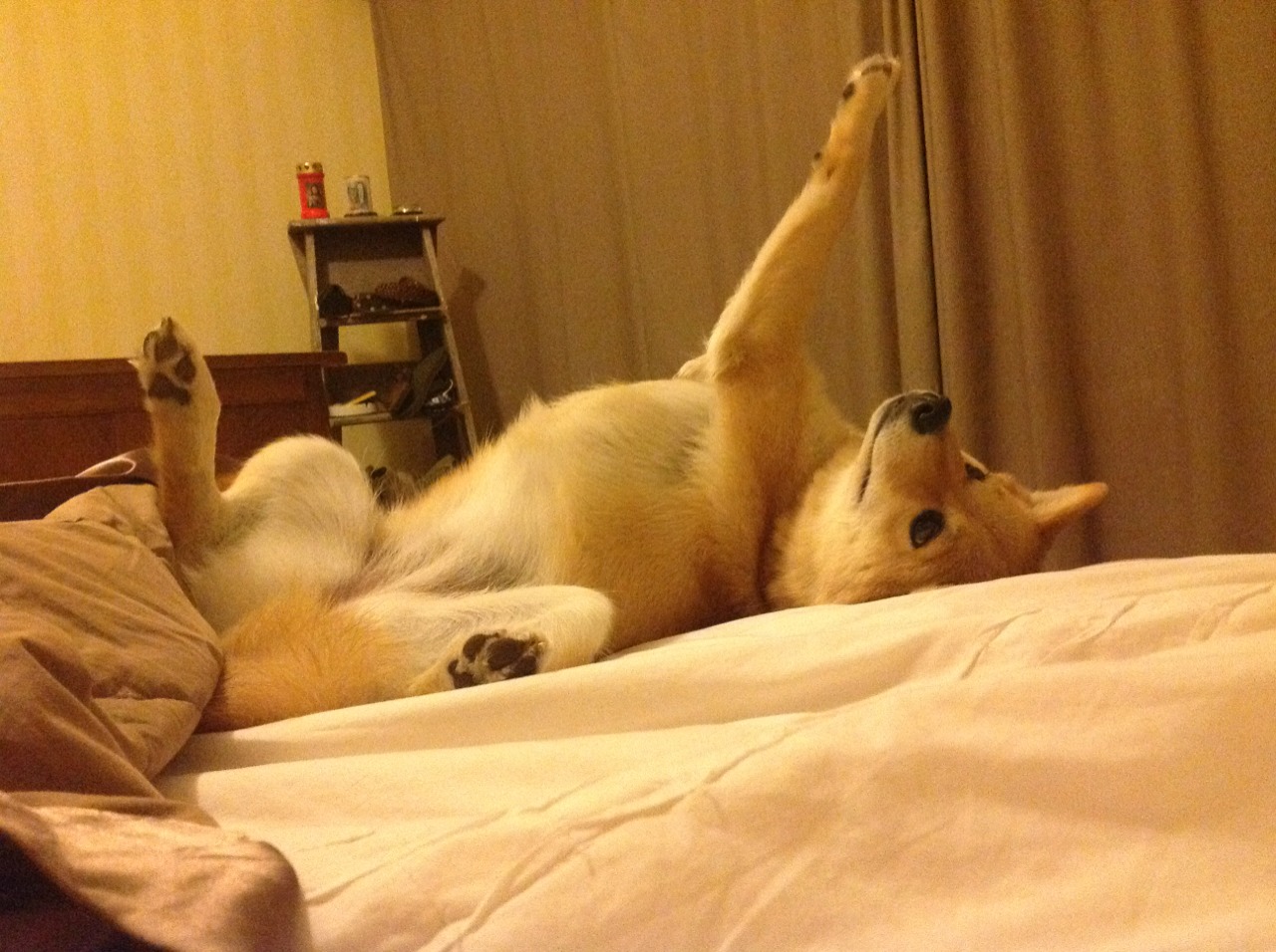 孤鹰的挽歌，杜兰特完美发挥背后，是老鹰难以言说的遗憾